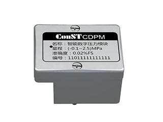 CDPM CDPM模塊式壓力校驗儀